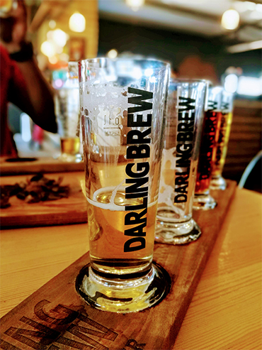 Darling brewery glasses